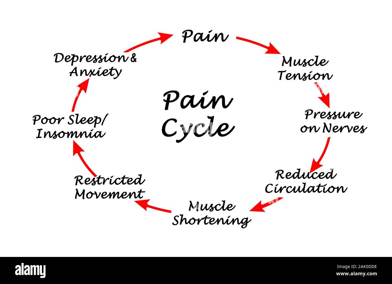 Eight Steps in Cycle of Pain Stock Photo Alamy