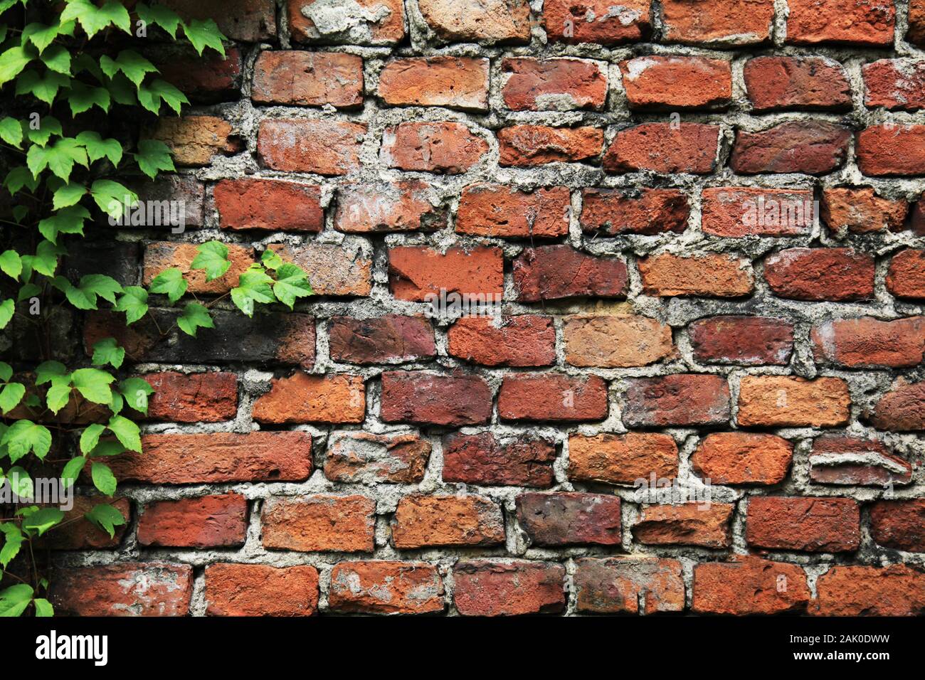 Old brick wall background hi-res stock photography and images - Alamy