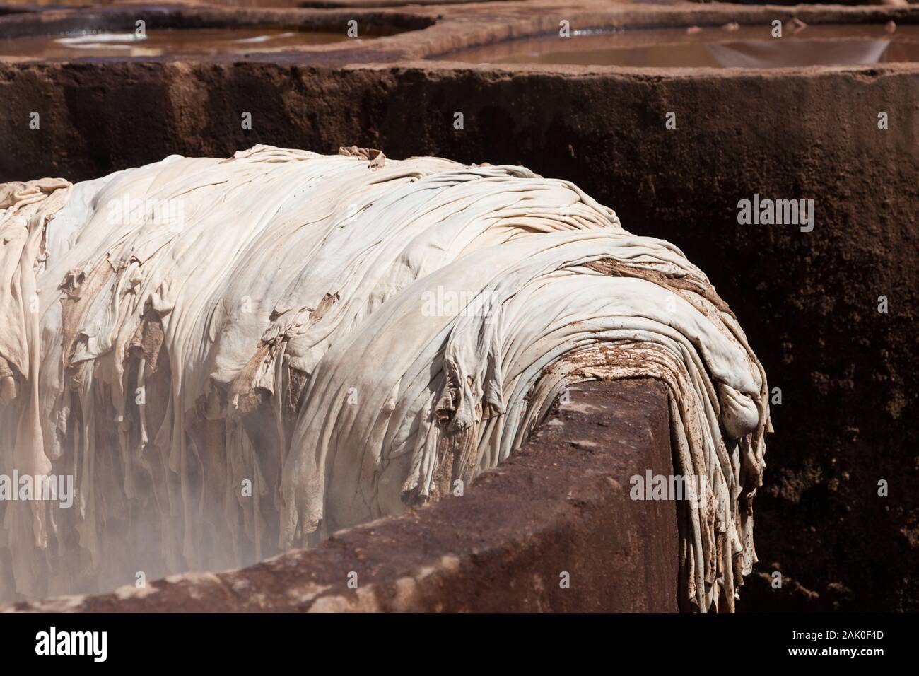 Animal skins (or hides) lying on the edge of stone vessel in the Chouara Tannery, Fes (Fez), Morocco Stock Photo