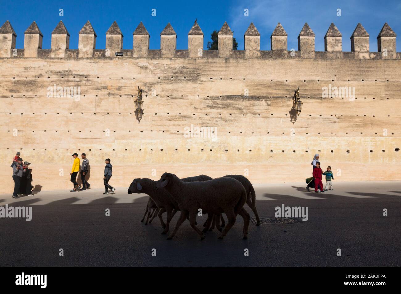 Pedestrians and flock of sheep in scenery of crenellated rammed earth city walls in area of Bab Mechouar and Bab Dekkakin in Fes (Fez), Morocco Stock Photo