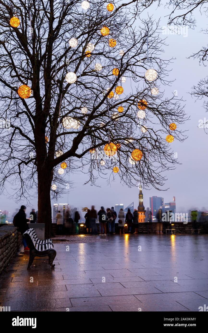 Tall bare tree decorated with illuminated balls at a viewpoint in Tallinn, Estonia Stock Photo