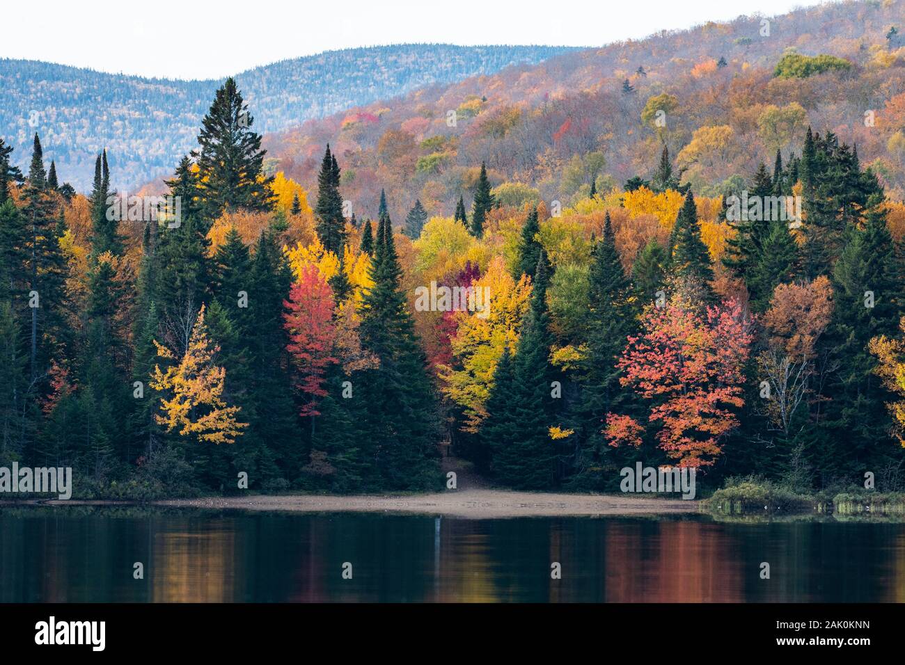 Colorful autumn forest by the lake Stock Photo - Alamy