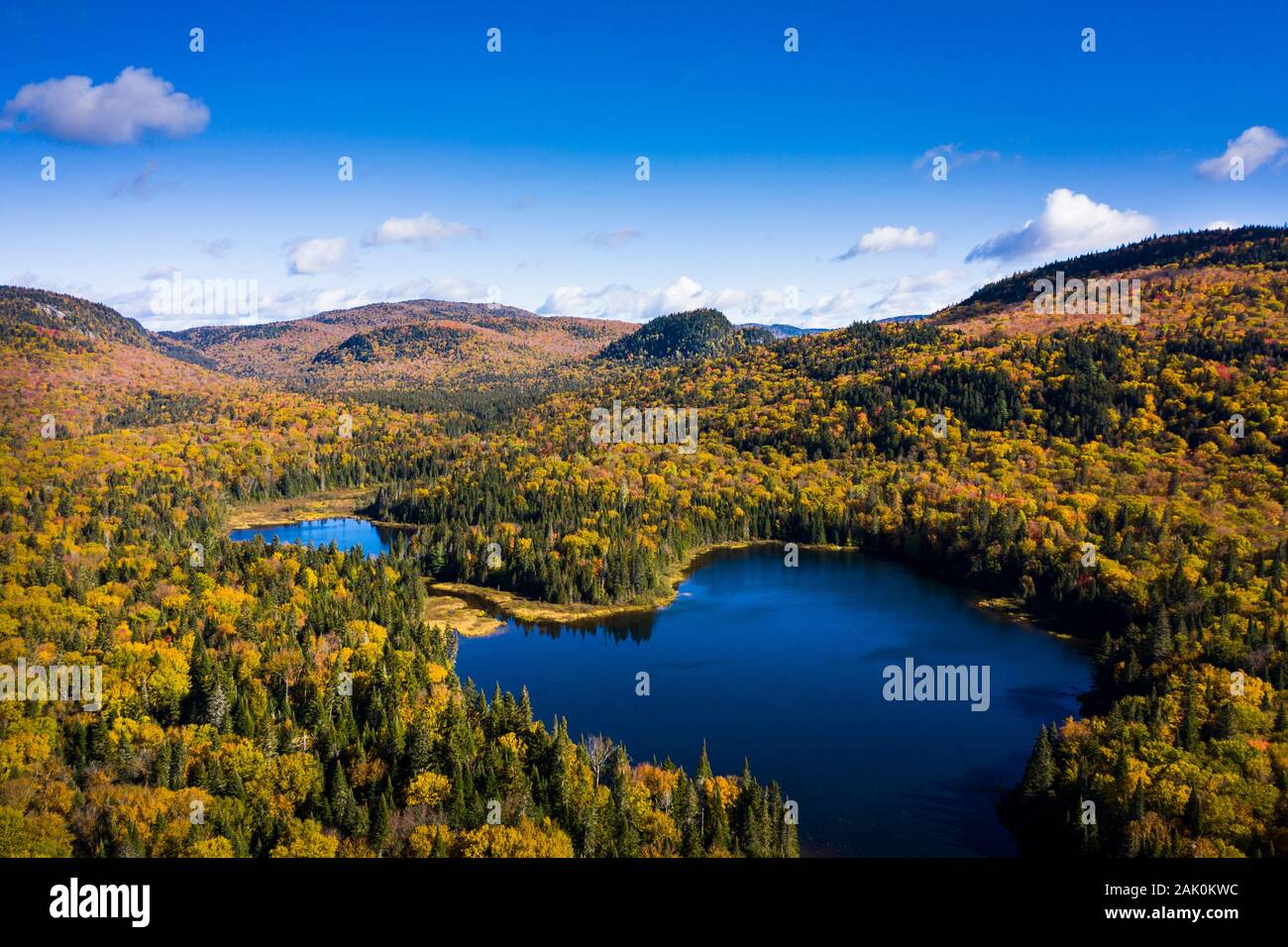Aerial view of a colorful autumn forest and lake Stock Photo - Alamy