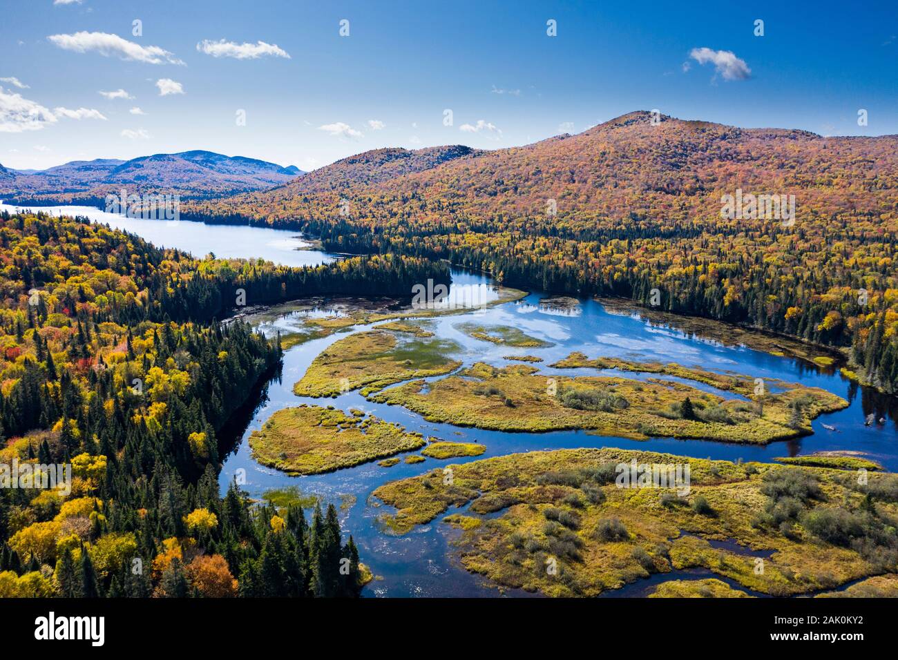 Aerial view of a colorful autumn forest and lake Stock Photo - Alamy