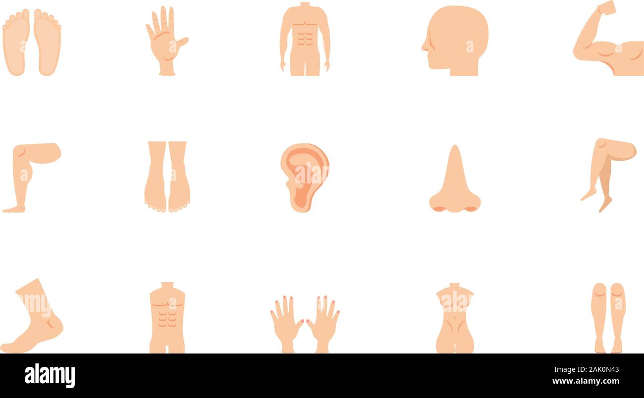 Icon Set Design, Human Body Person People Health Anatomy Biology And 