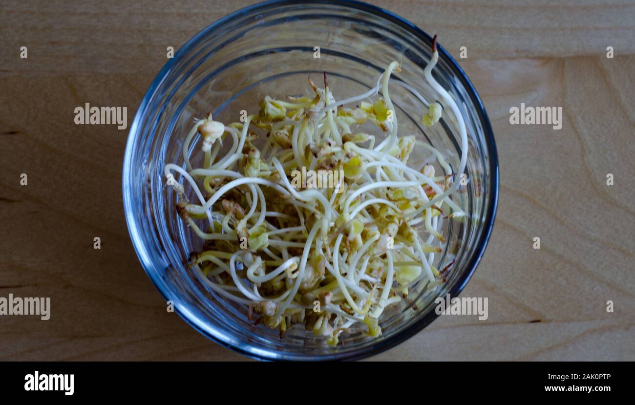 Buckwheat sprouts in a glass on a wooden table Stock Photo