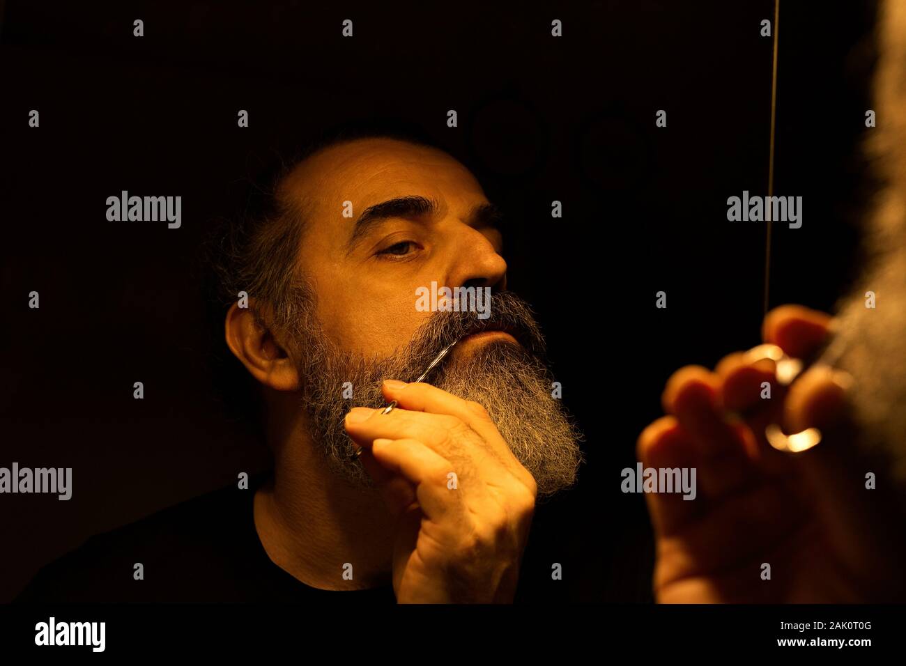 Bearded grey hair man grooming his beard in front of mirror, cutting