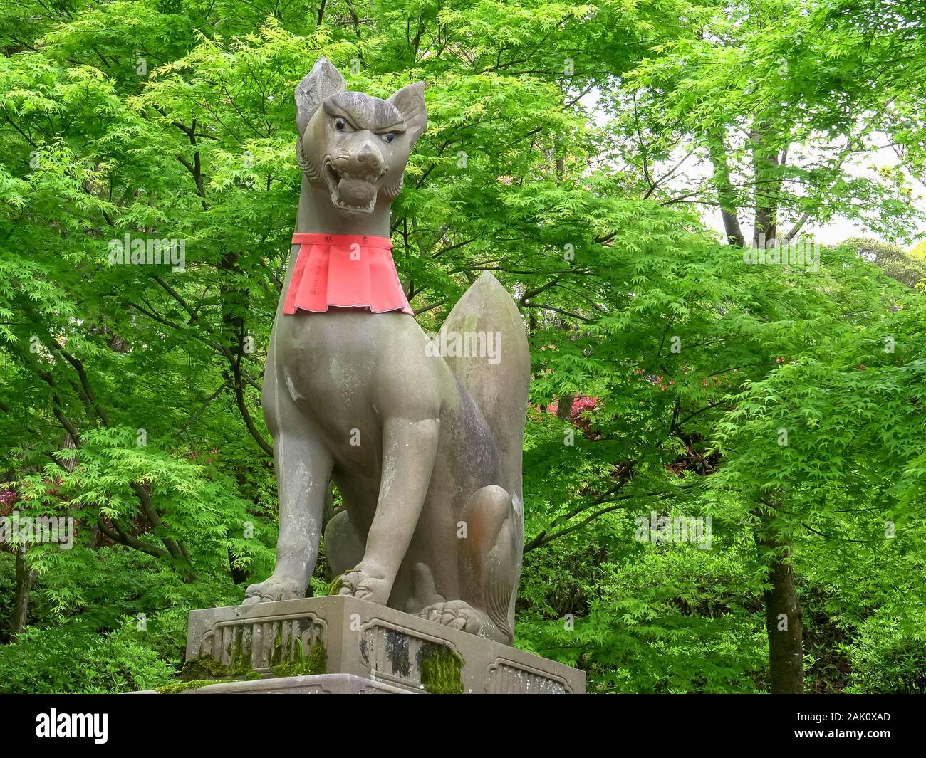 Japanese fox hi-res stock photography and images - Alamy