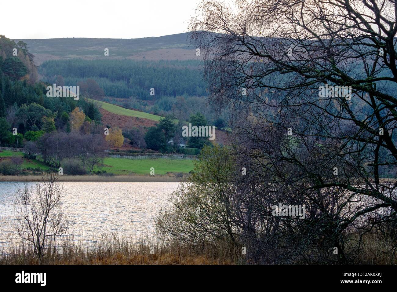 The upper lake in Wicklow Mountains National Park offers great views, together with the autumn colors and the hilly background. Stock Photo