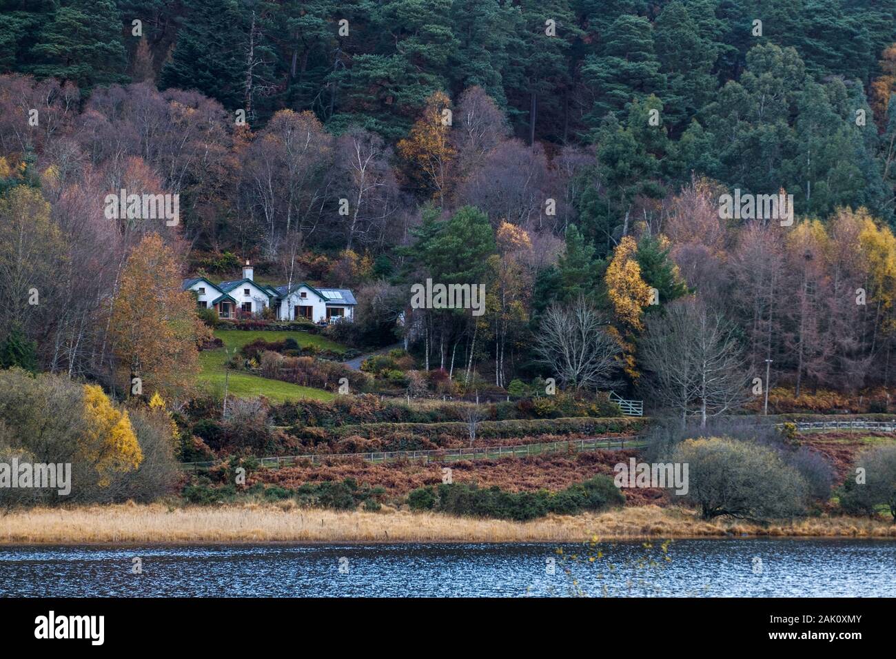 A white cottage stands in between an autumn forest and the upper lake of Glendalough in the national park of the Wicklow mountains in Ireland. Stock Photo