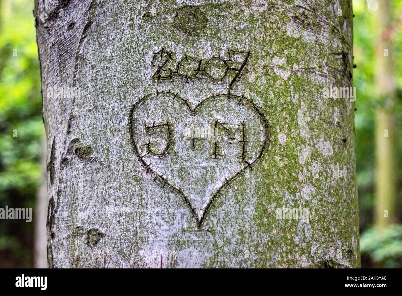 heart with monograms carved in the bark of a tree trunk Stock Photo