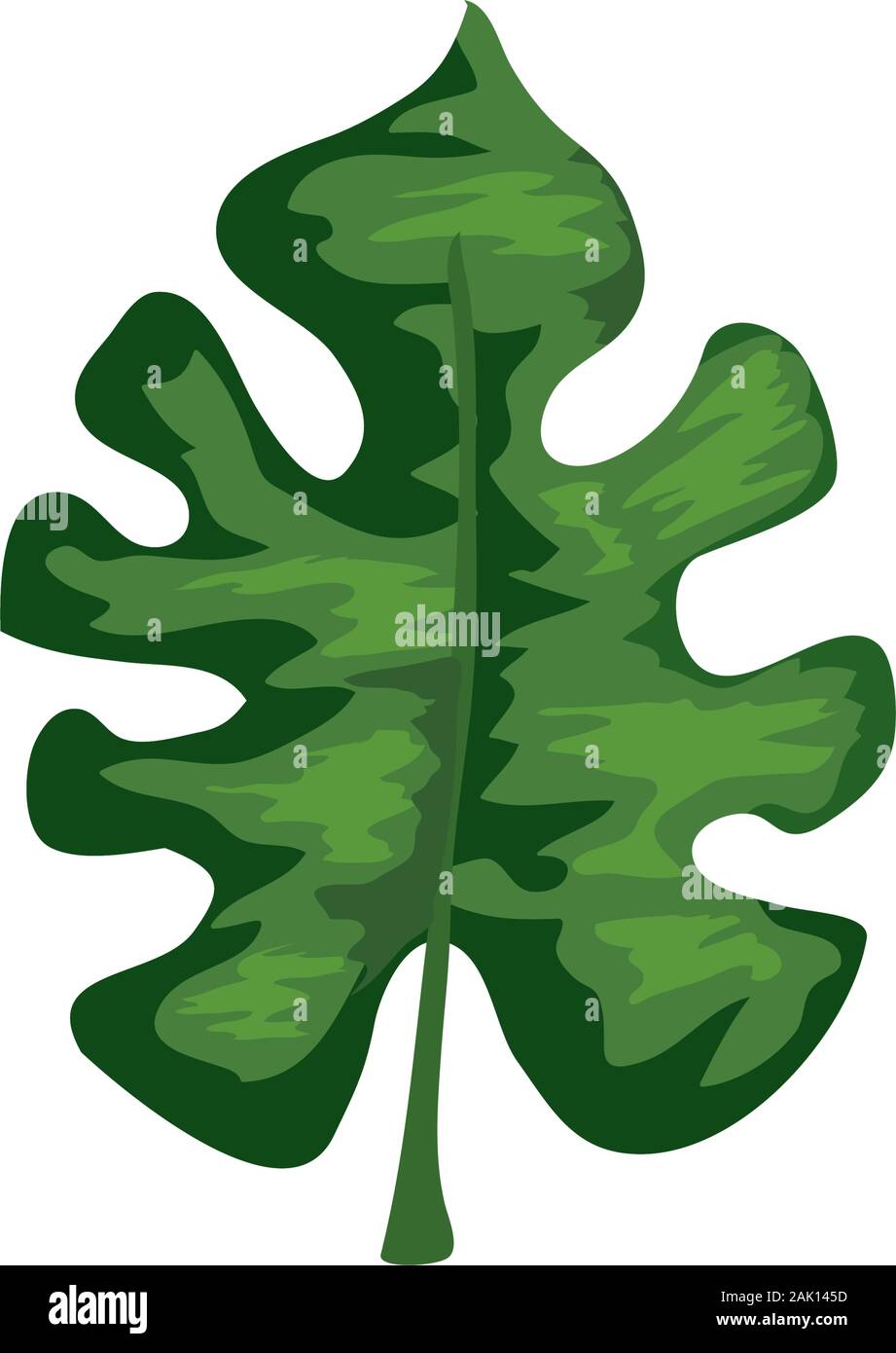 leaf nature tropical isolated icon Stock Vector Image & Art - Alamy
