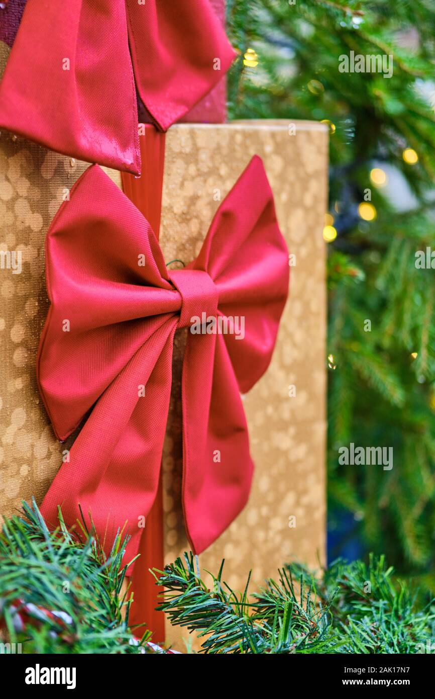 A box of gifts with a red bow on the background of the christmas tree. Vertical. Stock Photo