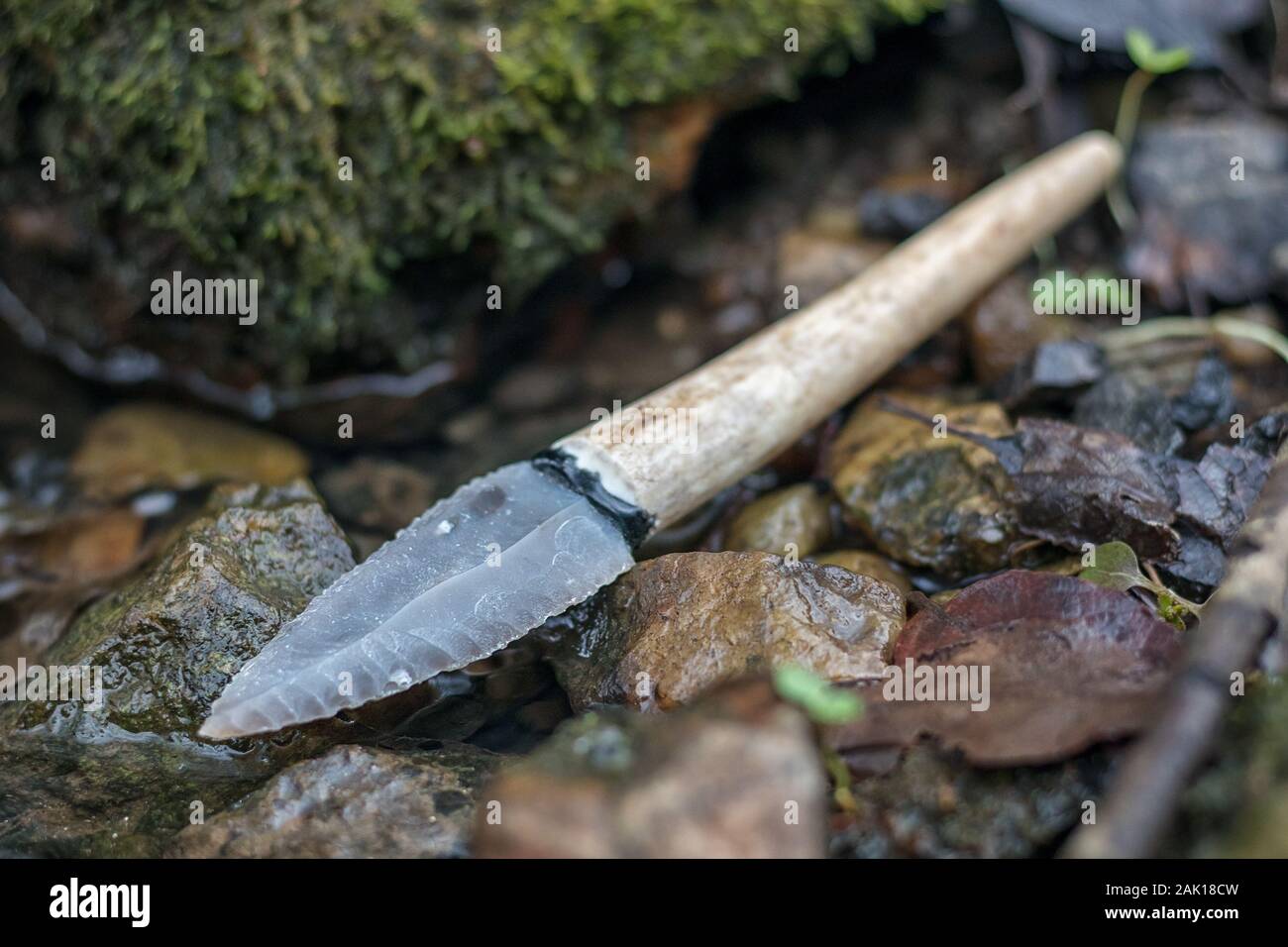 flint knife - stone age tool (leaf blade in deer antler) in nature Stock Photo