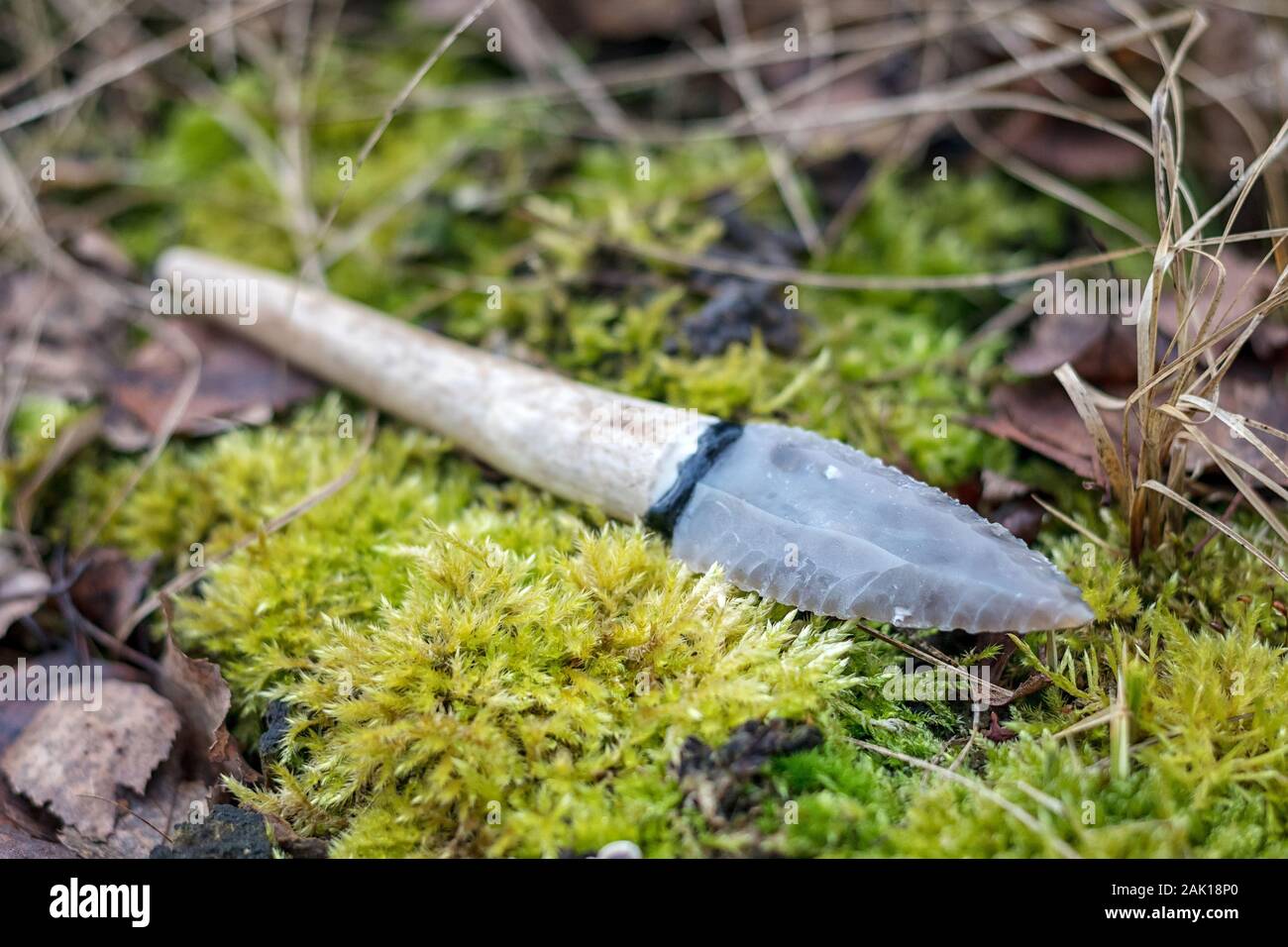 flint knife - stone age tool (leaf blade in deer antler) in moss Stock Photo