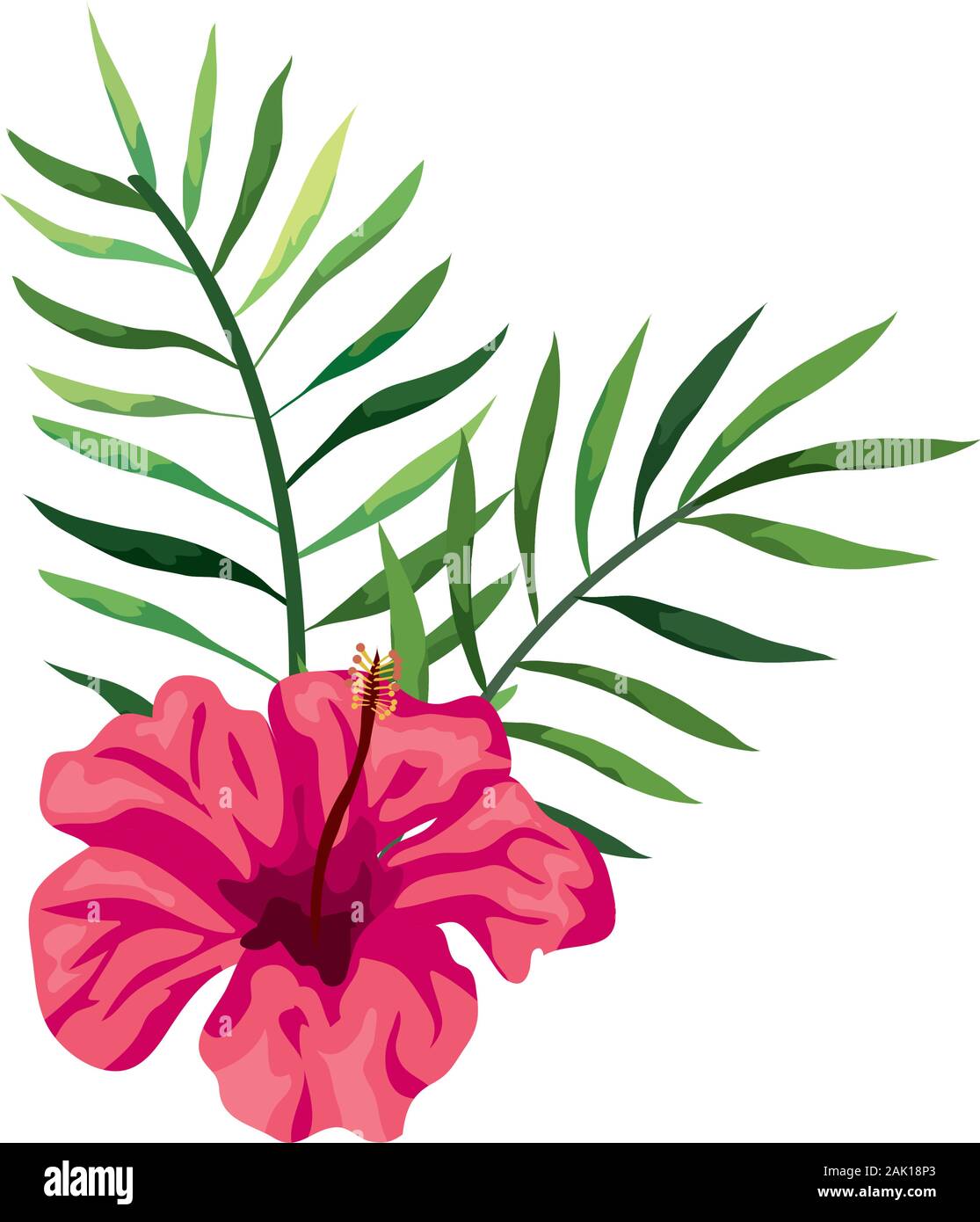 natural flower of pink color with branches and leafs Stock Vector Image ...