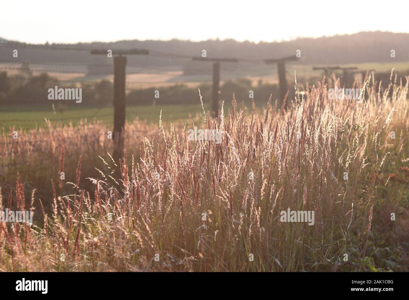 Preserved Iron Curtain Line - barbed wire fence and watchtower on the border of the Czech Republic, from the Cold War era Stock Photo