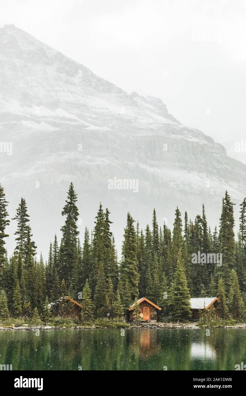 Cabins of Lake O'Hara Lodge in September in Yoho National Park, British
