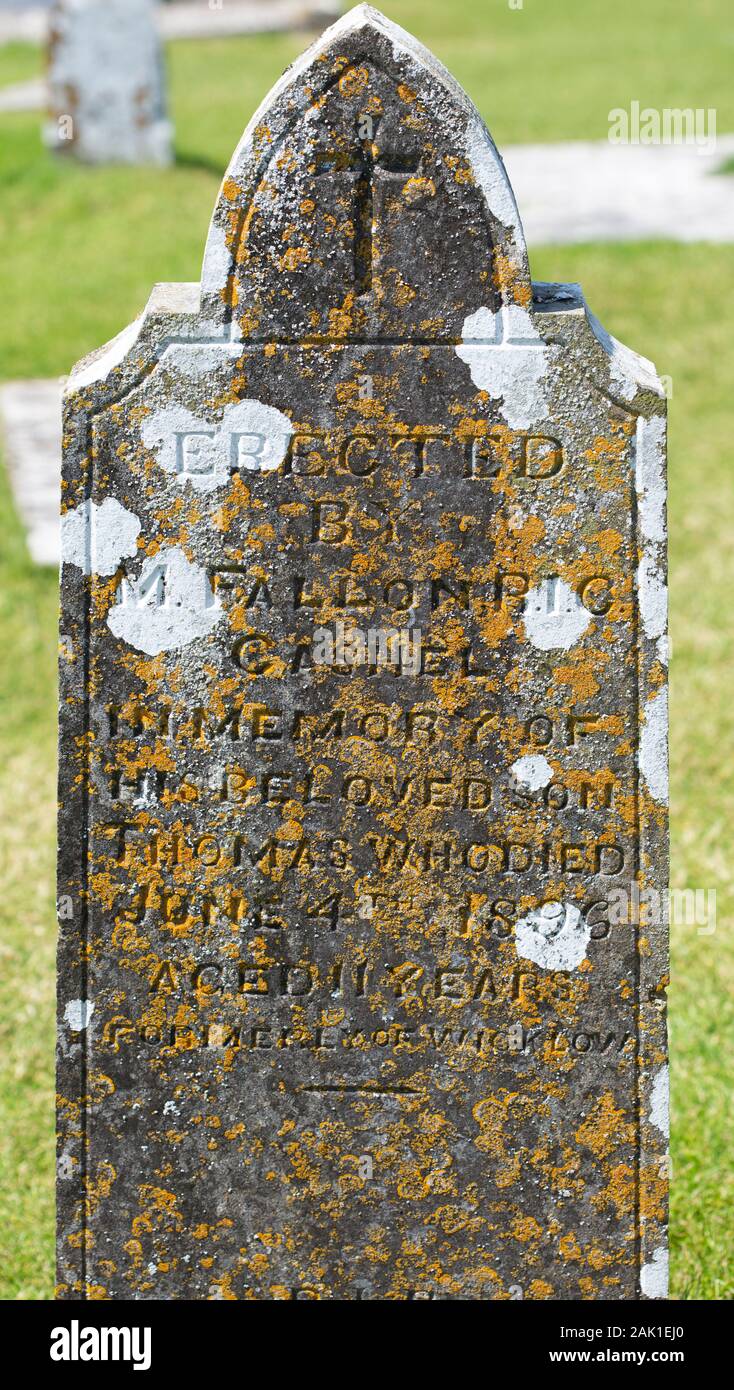 Abby Cross Stock Photos Abby Cross Stock Images Alamy Images, Photos, Reviews