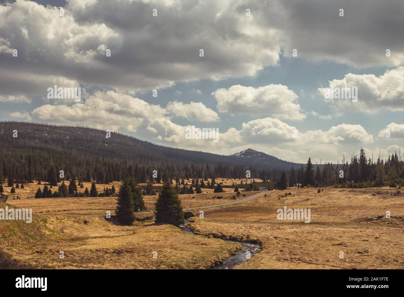 The Bohemian Forest (Sumava). View from Breznik to Lusen valley. Landscape with grassy valley, trees and mountain on the horizon, cloudy sky. Stock Photo