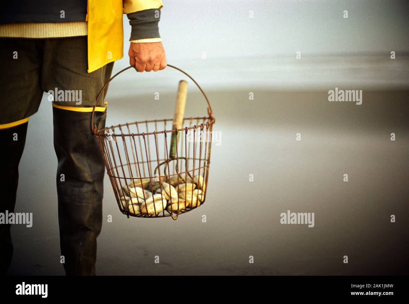 Shell fish being carried away in large basket Stock Photo - Alamy