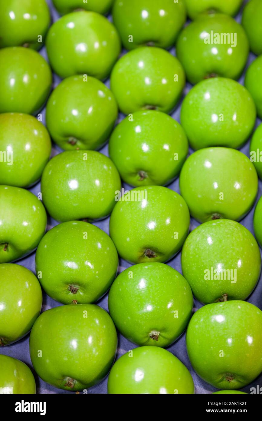 Fresh, green apples in a fruit packaging warehouse Stock Photo