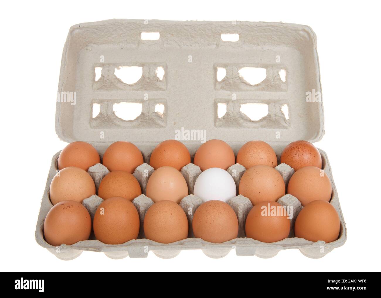 Carton of brown eggs with one white egg. Stock Photo