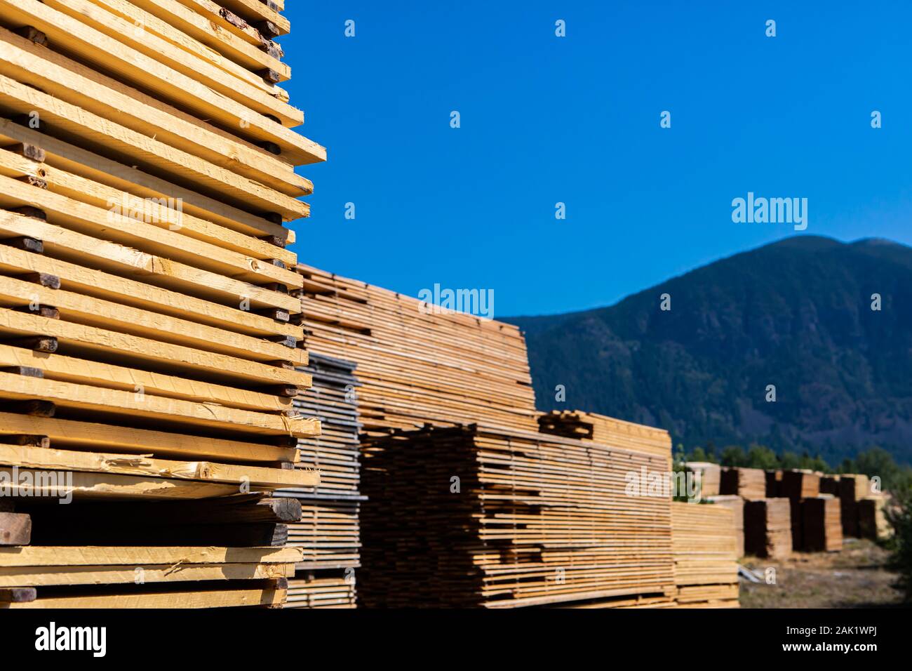 Building and construction industry of the Kootenays in British Columbia, Canada. Timber planks