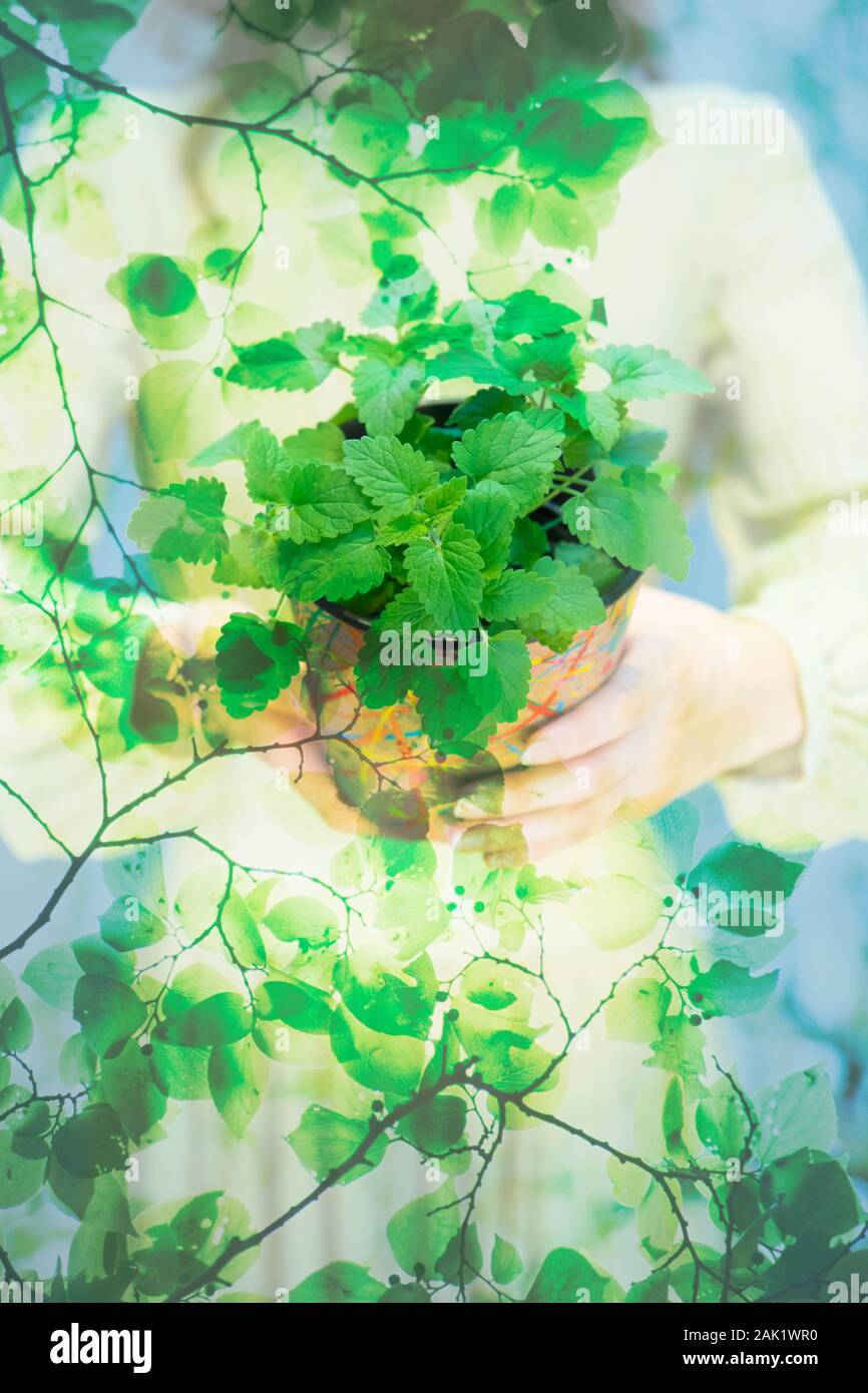 Ecology Image High Resolution Stock Photography and Images - Alamy