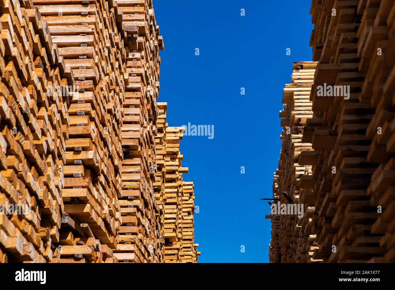A low angle view of stockpiled timber slats in a lumber yard, used in