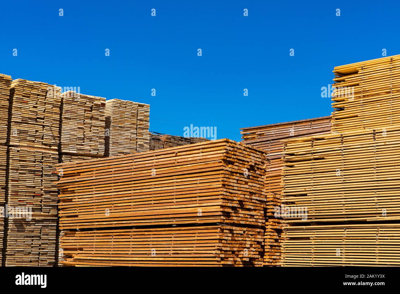 Pallets of treated pine planks are seen stockpiled in a builder merchants yard. Wooden beams and boards beneath a blue sky with copy space. Stock Photo