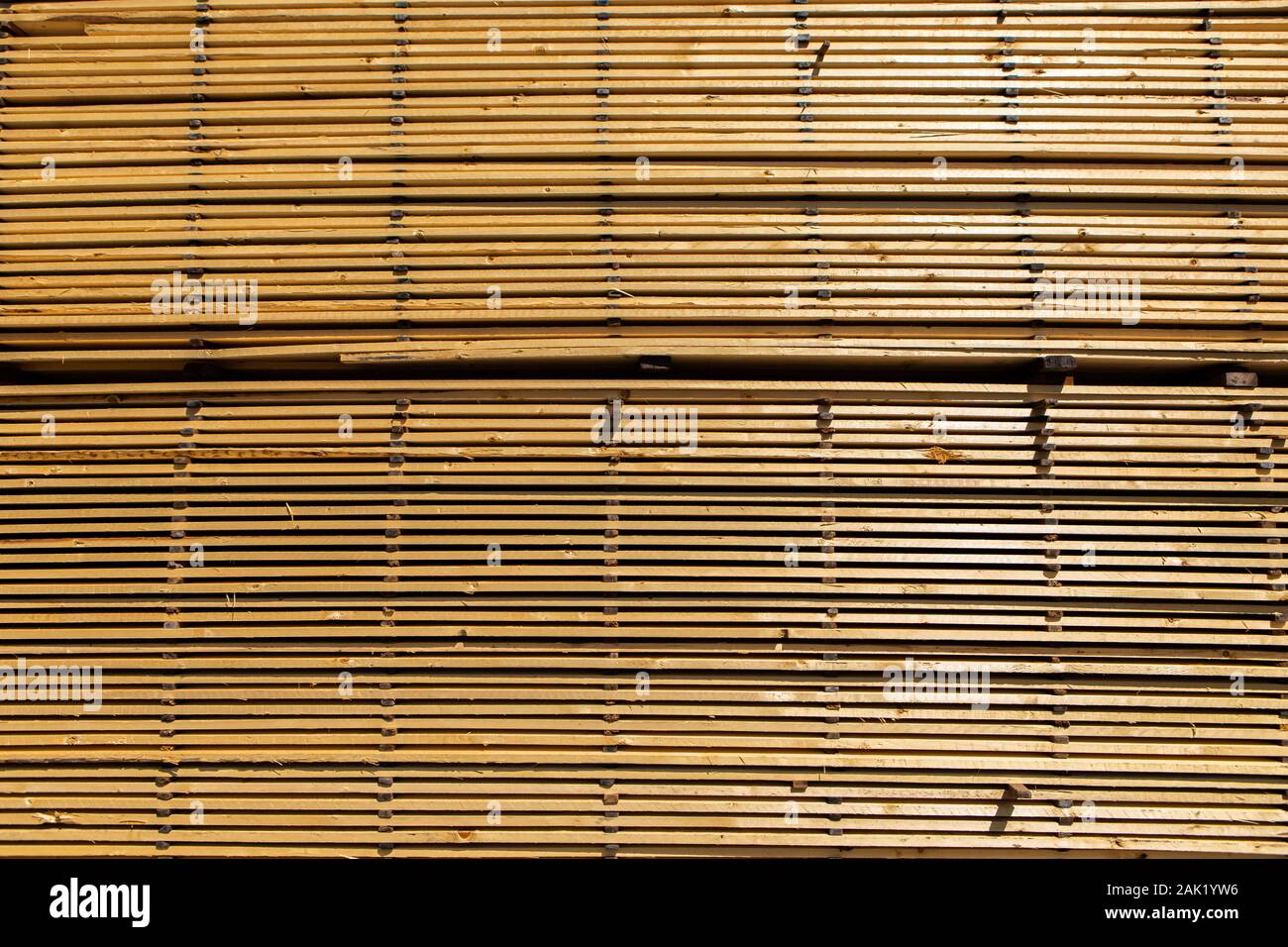 A textured background filling the frame with long and thin wooden planks. Pine boards treated and stored outside a sawmill. Ready for transport. Stock Photo