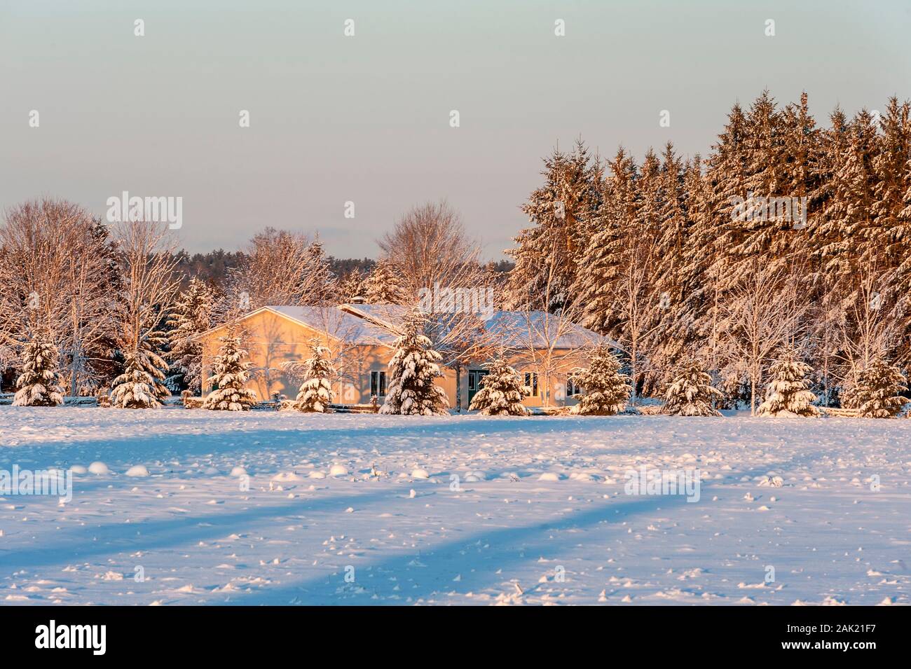 Winter on the farm Stock Photo