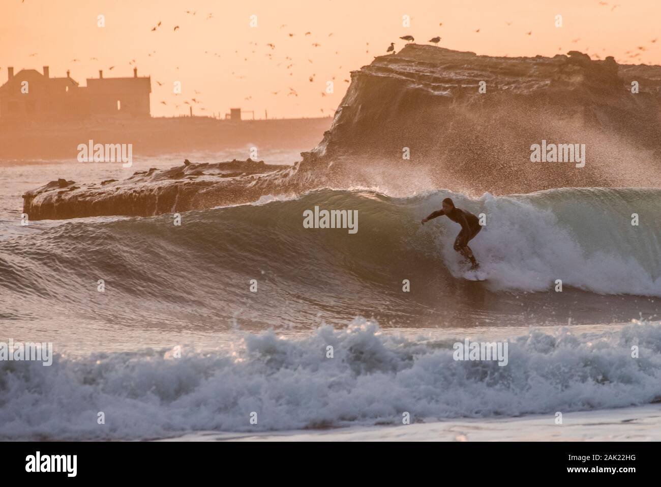 Ano Nuevo Surfing