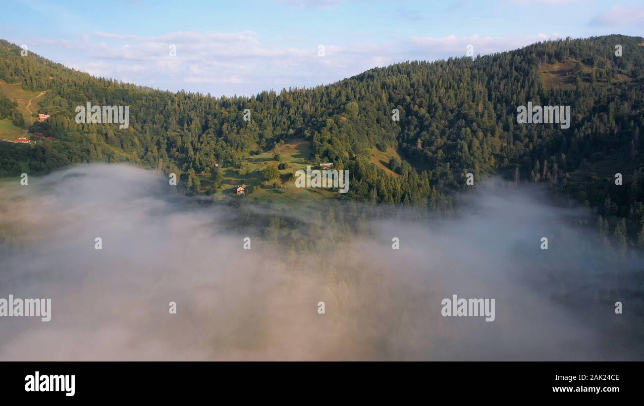 Aerial view of colorful mixed forest shrouded in morning fog on a ...