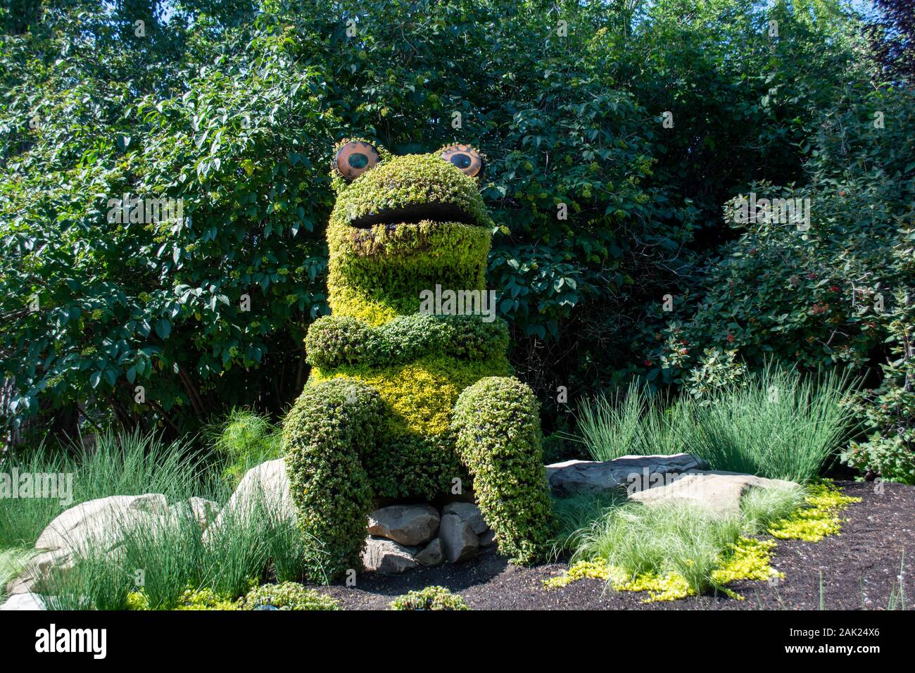 Frog shaped bushed in green landscaped gardens Stock Photo