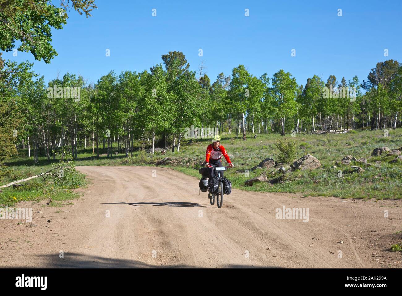 CO00180-00...COLORADO - Cyclist at the summit of the watershed divide north of Salida along the Great Divide Mountain Bike Route. Stock Photo