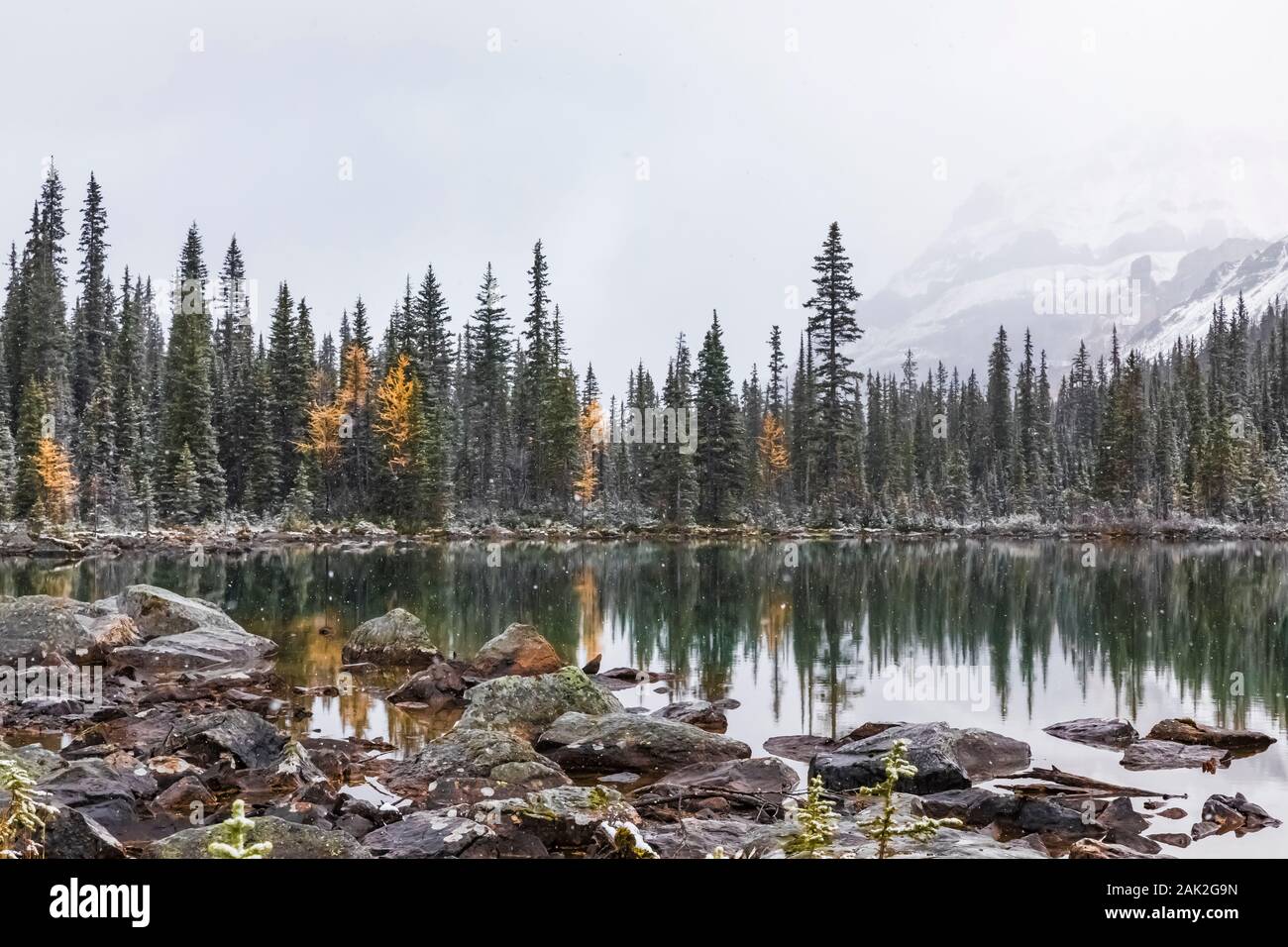 Snowy day in September at Morning Glory Lakes near Lake O'Hara in Yoho
