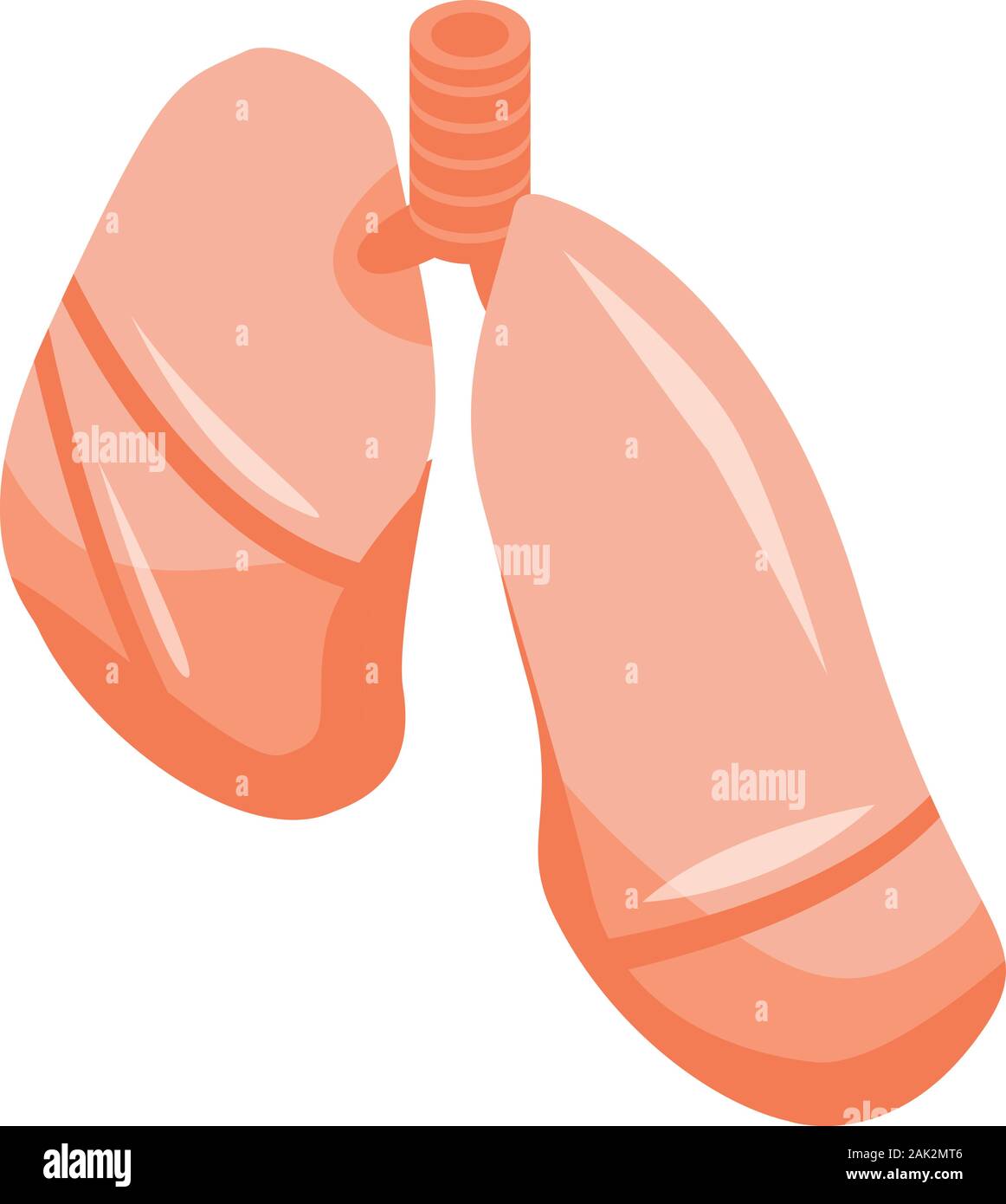 Lungs icon, isometric style Stock Vector