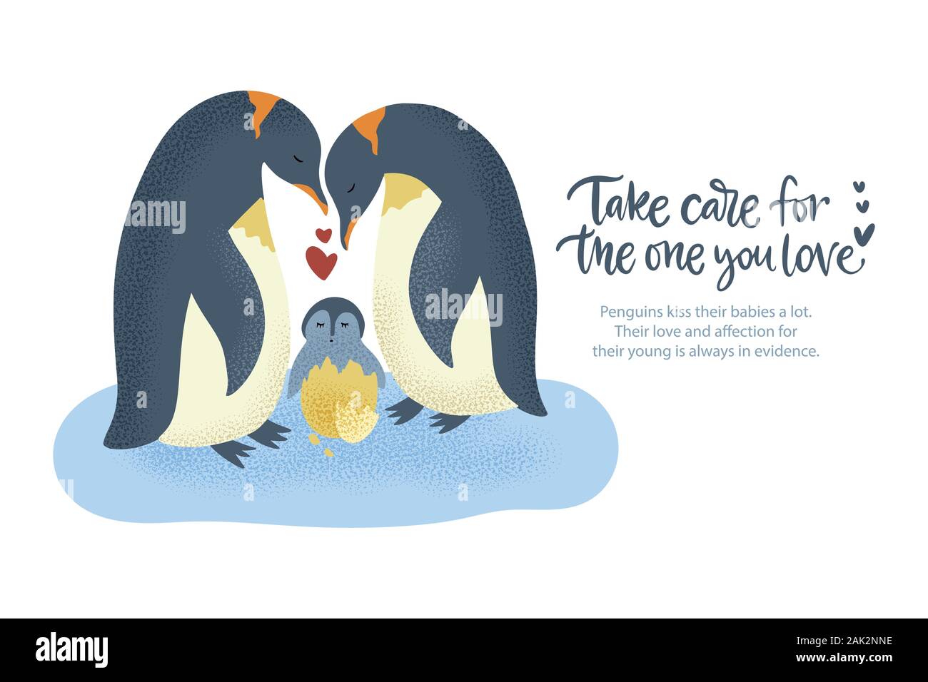 Happy Valentine Day Vector Textured Animal Card In A Flat Style With Quote And Real Facts About Love Romantic Illustration Penguin Family Take Care Of A Baby Stock Vector Image Art