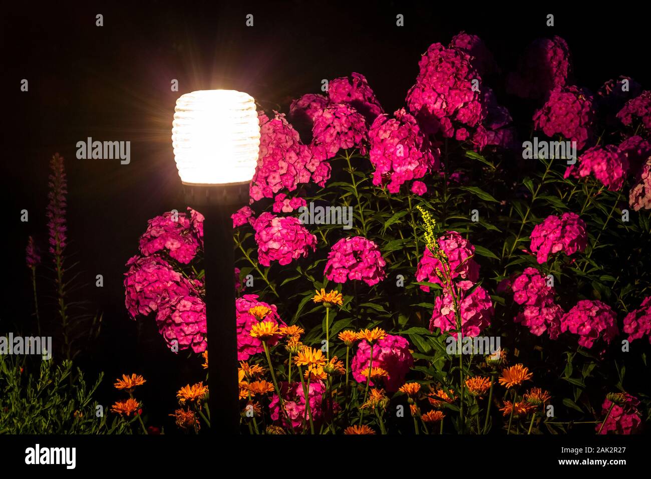 The garden lamp shines in a flower bed in a night garden Stock Photo - Alamy