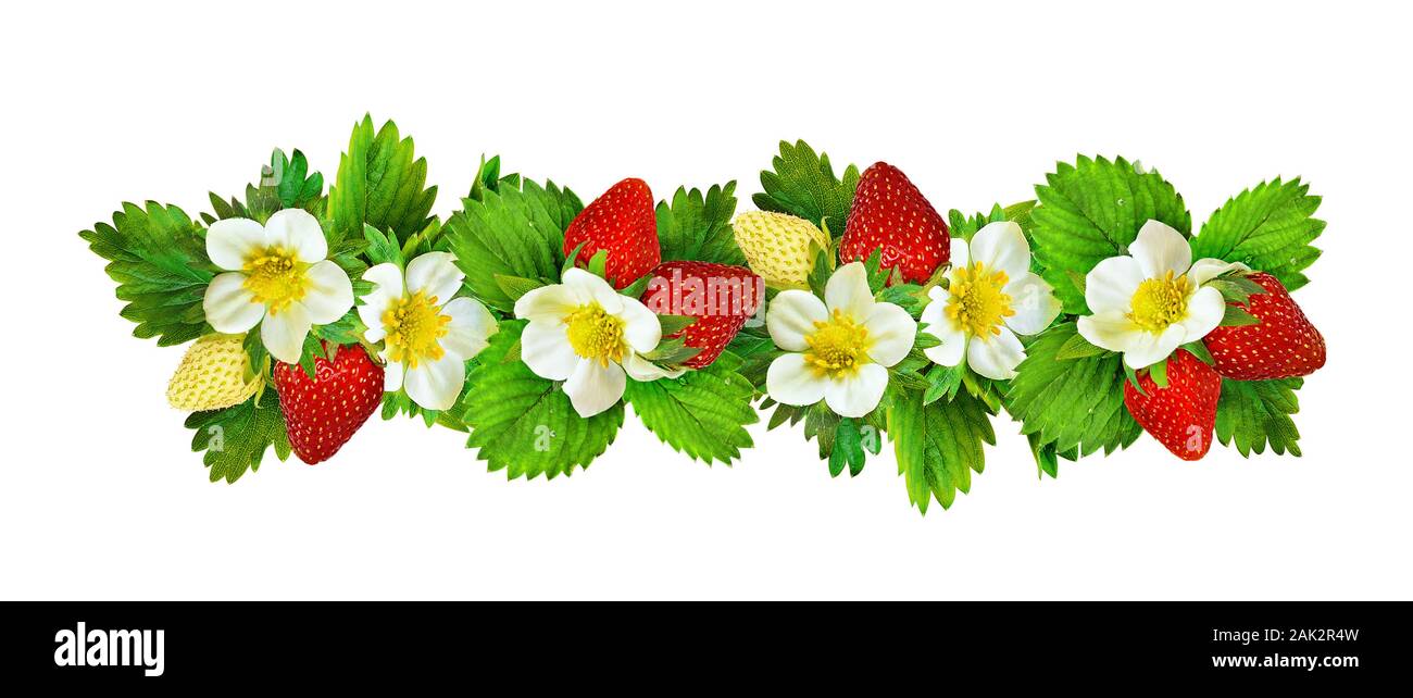 Strawberries border with flowers, berries and leaves isolated on white. Set. Stock Photo