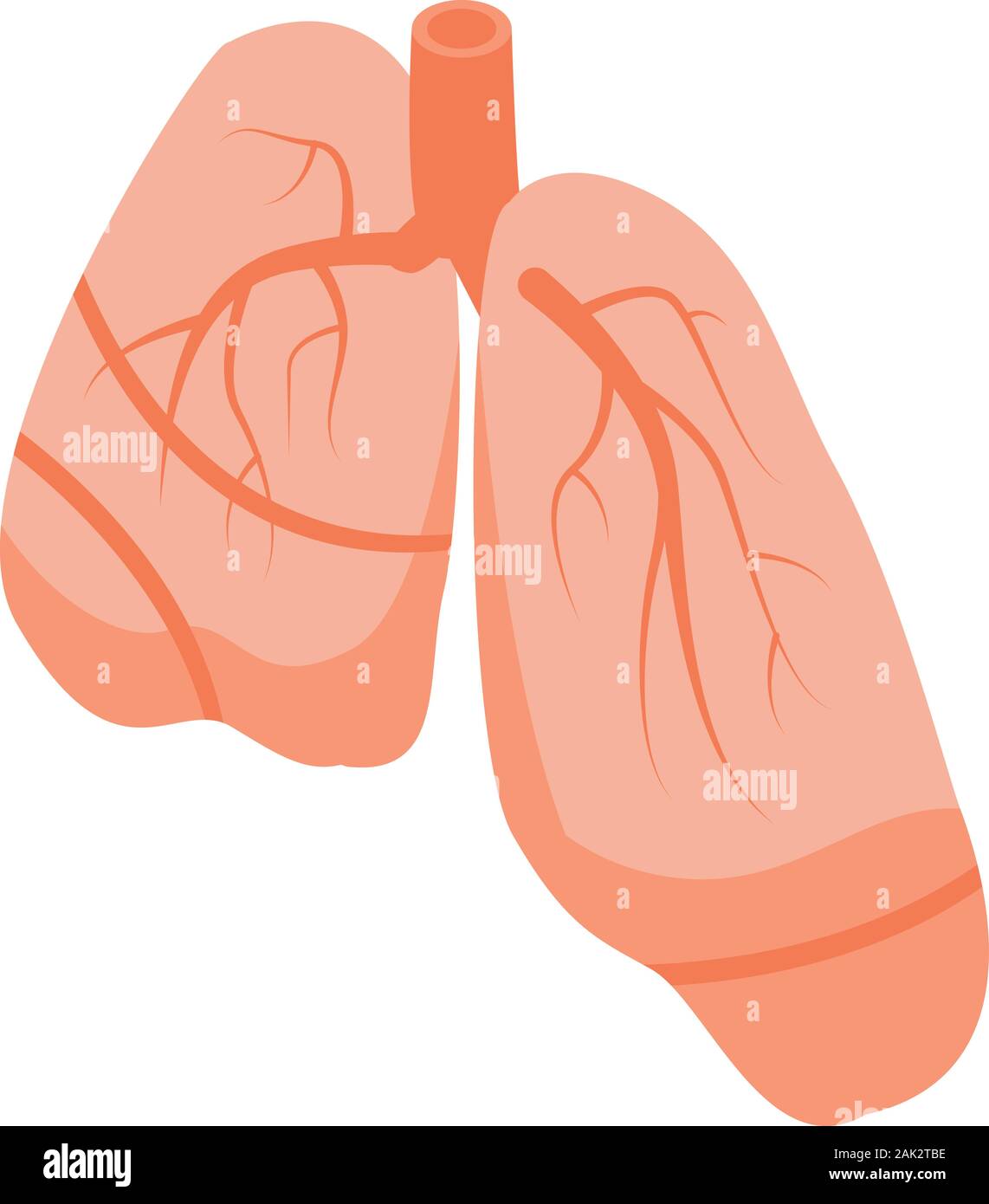 Human lungs icon, isometric style Stock Vector