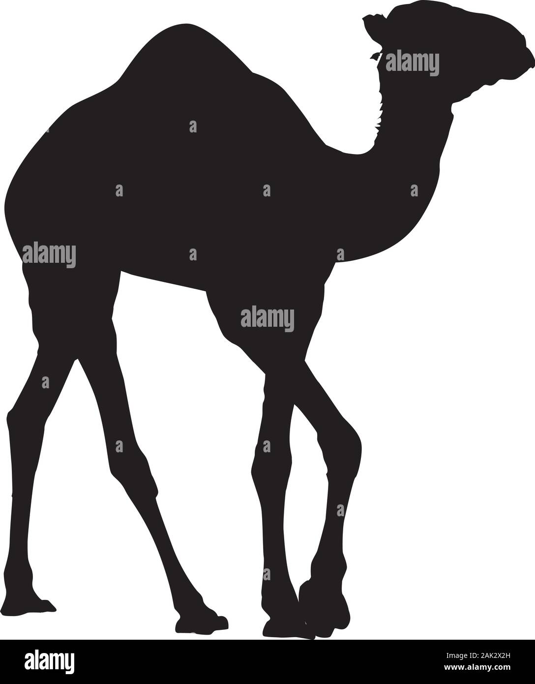 Arabian camel dromedary silhouette vector isolated illustration Stock Vector