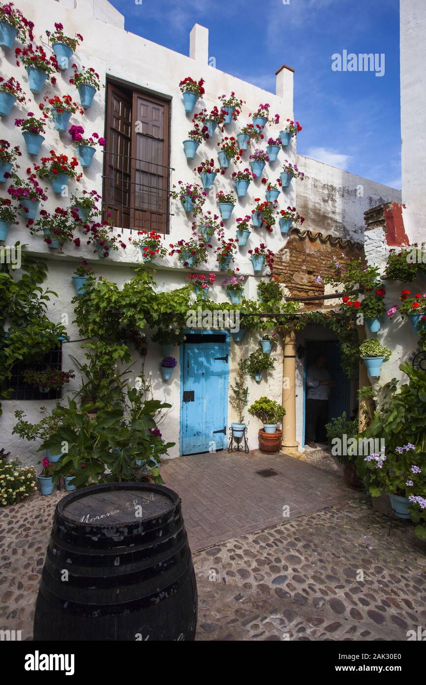 Provinz Cordoba/Cordoba Stadt blumengeschmueckter Patio im