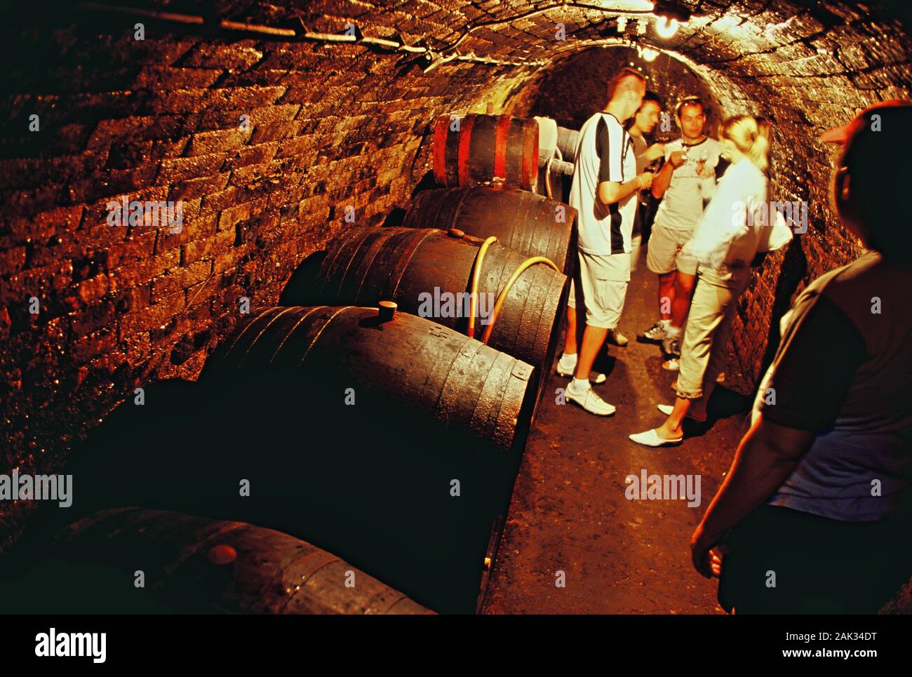 People during a wine tasting in a wine cellar in Villany, Hungary