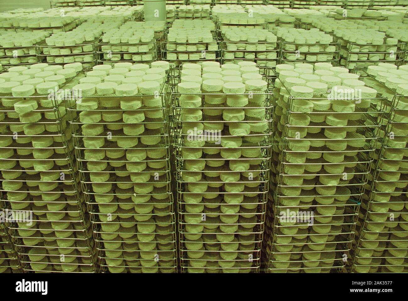 View of racks with aging cheese in Normandy, France. (undated picture ...