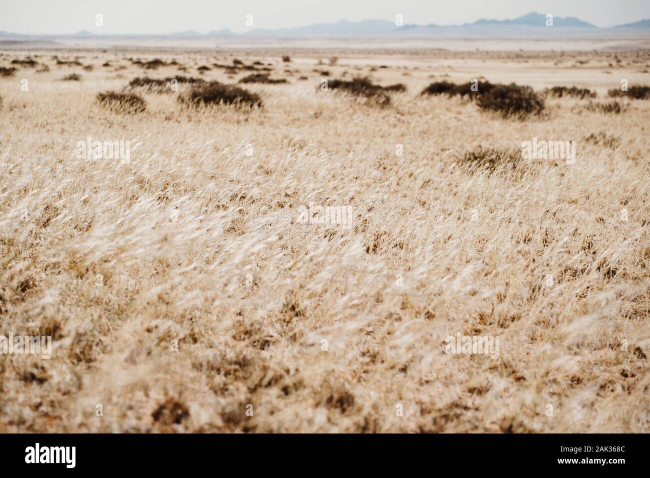 Open african landscape hi-res stock photography and images - Alamy