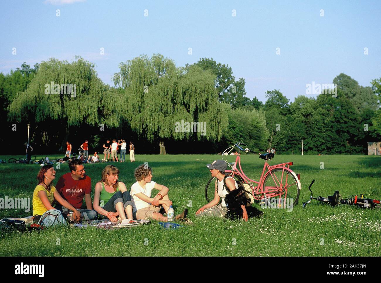 Young people sitting on a meadow on the Peißnitz Island in Halle. On the island is the Cultural Park of the Saale Floodplain (Kulturpark Saaleaue) loc Stock Photo