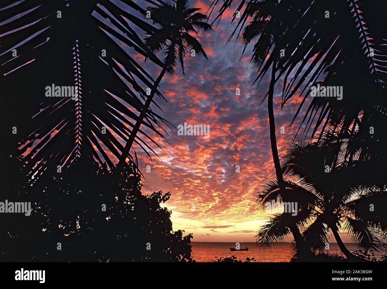 A fireworks of colors presents the su at the horizon during the sunset